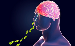 Η απίθανη περίπτωση που μια αμοιβάδα μπορεί να «καταβροχθίσει» τον εγκέφαλό σας