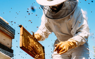 Ο Όμιλος ΗΡΑΚΛΗΣ στηρίζει τη βιώσιμη ανάκαμψη του νευραλγικού κλάδου της μελισσοκομίας στη Βόρεια Εύβοια