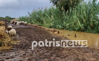 Προβλήματα από την κακοκαιρία στον Κόροιβο