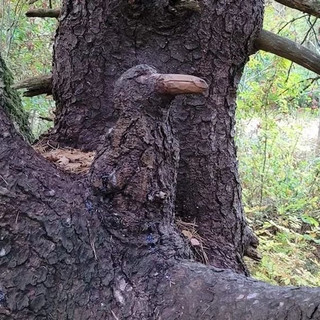 Φωτογραφίες που πρέπει να δεις δεύτερη φορά