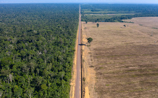 Η αποψίλωση του Αμαζονίου από ψηλά