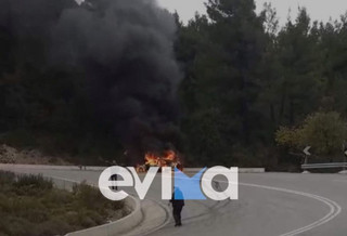 Εύβοια: Φωτιά σε αυτοκίνητο &#8211; Επεκτάθηκε και στο δάσος