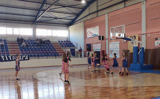 Ρατσιστική επίθεση σε αγώνα μπάσκετ κορασίδων στην Καρδίτσα