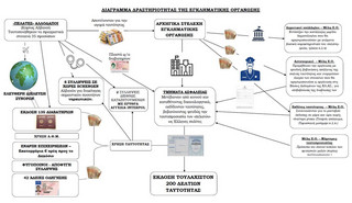 Διάραμμα δραστηριότητας του κυκλώματος παράνομων ελληνοποιήσεων