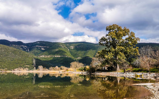 Εντυπωσιακή η φύση στη λίμνη Τριχωνίδα