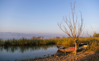 Παλιά βάρκα στη λίμνη Βόλβη