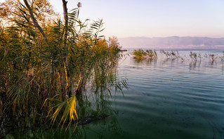 Η λίμνη Βόλβη από κοντά