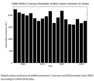 Wildfires wreaked havoc in 2021, CAMS tracked their impact