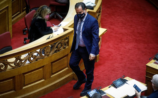 Ο Άδωνις Γεωργιάδης στη Βουλή Ο Άδωνις Γεωργιάδης στη Βουλή