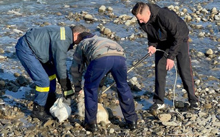 Πέταξαν κουταβάκια με τη μητέρα τους στο ποτάμι για να πνιγούν