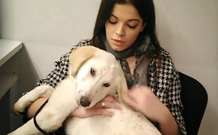 Η Τάνια Τρύπη υιοθέτησε την «Αγάπη», το σκυλάκι που κακοποιήθηκε βάναυσα στην Αλεξανδρούπολη
