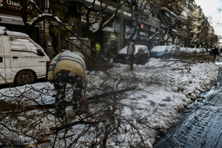 Πεσμένα δέντρα λόγω της κακοκαιρίας Ελπίδα