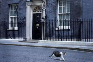 Downing Street