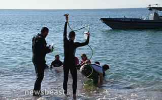 Νέες φωτογραφίες από τη διάσωση της φάλαινας στον Άλιμο