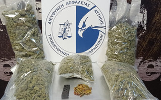 Εντοπίσθηκε πλήρως οργανωμένο και εξοπλισμένο εργαστήριο-φυτώριο υδροπονικής καλλιέργειας δενδρυλλίων κάνναβης στη Νέα Χαλκηδόνα Αττικής Εντοπίσθηκε πλήρως οργανωμένο και εξοπλισμένο εργαστήριο-φυτώριο υδροπονικής καλλιέργειας δενδρυλλίων κάνναβης στη Νέα Χαλκηδόνα Αττικής