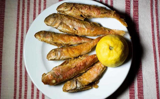 Η Λέσβος Η Λέσβος