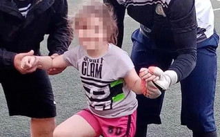 Η μικρή Τζωρτζίνα Η μικρή Τζωρτζίνα