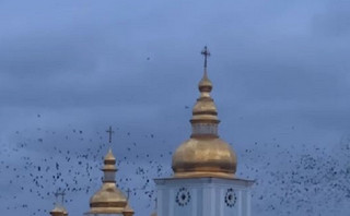 Πόλεμος στην Ουκρανία: Το αλλόκοτο πέταγμα των πουλιών όταν ηχούν οι σειρήνες