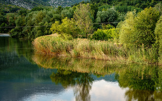 Αντικατοπριτρισμοί της φύσης στα νερά του Νέστου Αντικατοπριτρισμοί της φύσης στα νερά του Νέστου