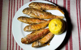 Ουζερί η Λέσβος Ουζερί η Λέσβος
