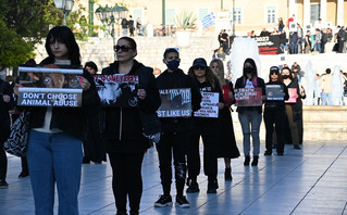 Διαμαρτυρία για τη θανάτωση των ζώων από Βίγκαν, Σύνταγμα