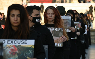 Διαμαρτυρία για τη θανάτωση των ζώων από Βίγκαν, Σύνταγμα Διαμαρτυρία για τη θανάτωση των ζώων από Βίγκαν, Σύνταγμα