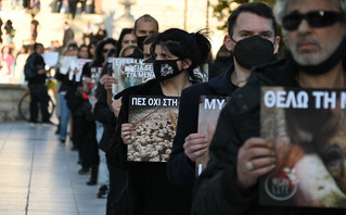 Διαμαρτυρία για τη θανάτωση των ζώων από Βίγκαν, Σύνταγμα Διαμαρτυρία για τη θανάτωση των ζώων από Βίγκαν, Σύνταγμα