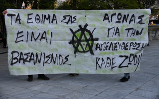 Διαμαρτυρία για τη θανάτωση των ζώων από Βίγκαν, Σύνταγμα