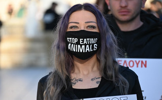 Διαμαρτυρία για τη θανάτωση των ζώων από Βίγκαν, Σύνταγμα