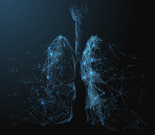 3D αναπαράσταση ανθρώπινου αναπνευστικού