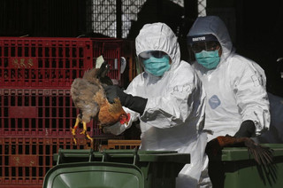 Το πρώτο κρούσμα γρίπης των πτηνών H3N8 σε άνθρωπο αναφέρει η Κίνα