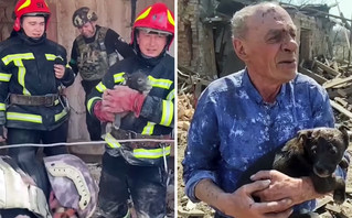 Η συγκινητική στιγμή που πυροσβέστες σώζουν κουτάβι από ερείπια σπιτιού στο Ντονέτσκ