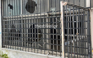 Γκρέμισαν τα πάντα στο ισόγειο του Βιολογικού στο ΑΠΘ Γκρέμισαν τα πάντα στο ισόγειο του Βιολογικού στο ΑΠΘ