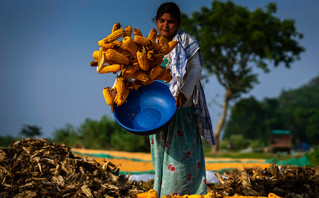Gawhati, India: The Daily Struggle for Livelihood Gawhati, India: The Daily Struggle for Livelihood