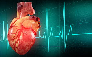 Καρδιά και καρδιογράφημα
