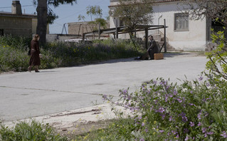 Άγριες Μέλισσες Άγριες Μέλισσες