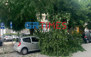 Άλλαξε απότομα ο καιρός στη Θεσσαλονίκη: Από τον καύσωνα σε βροχές και πτώσεις δέντρων