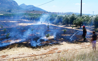 Φωτιά στην Αργολίδα