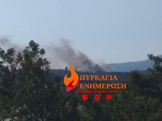 Φωτιά τώρα στη Λούτσα