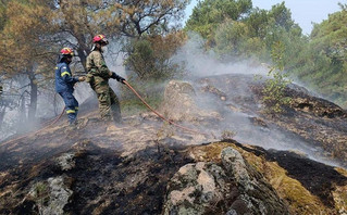 Φωτιά στη Δαδιά Φωτιά στη Δαδιά