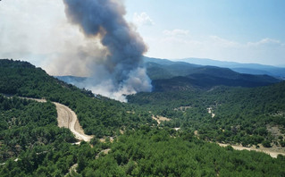 Φωτιά στη Δαδιά