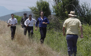 Άγριες Μέλισσες Άγριες Μέλισσες