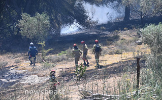 Φωτιά στην Πεντέλη Φωτιά στην Πεντέλη