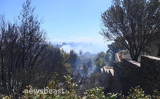 Φωτιά στην Πεντέλη Φωτιά στην Πεντέλη