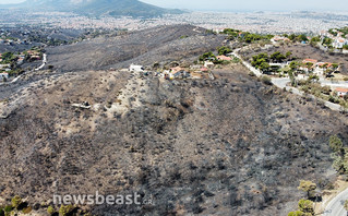 Φωτογραφίες από τα καμμένα στην Πεντέλη