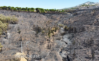 Φωτογραφίες από τα καμμένα στην Πεντέλη