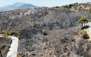 Φωτογραφίες από τα καμμένα στην Πεντέλη Φωτογραφίες από τα καμμένα στην Πεντέλη