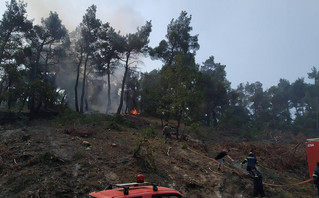 Φωτιά στο δάσος της Δαδιάς στον Έβρο Φωτιά στο δάσος της Δαδιάς στον Έβρο
