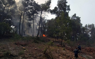 Φωτιά στο δάσος της Δαδιάς στον Έβρο