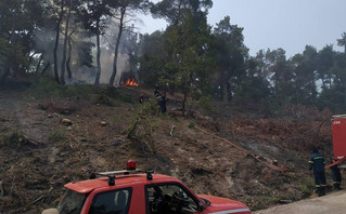 Φωτιά στο δάσος της Δαδιάς στον Έβρο